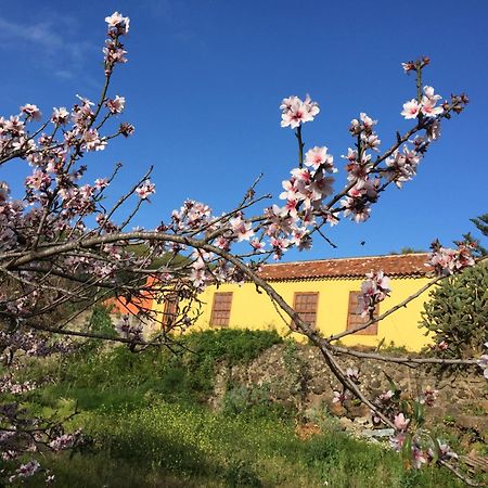 Haciendas Del Valle-Montemayor Las Toscas Eksteriør bilde